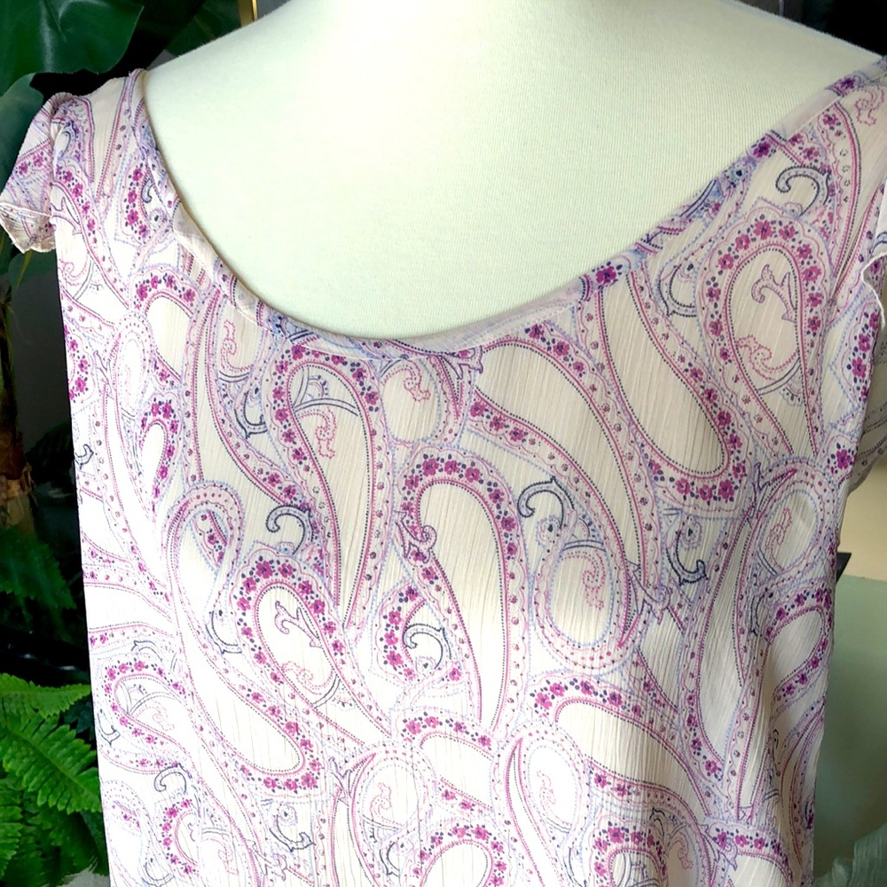 DIVIDED  ABOVE KNEE DRESS CAP RUFFLE SLEEVES Runs like M TAG says Sz 4